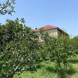  Alloggio in famiglia Mance Albania